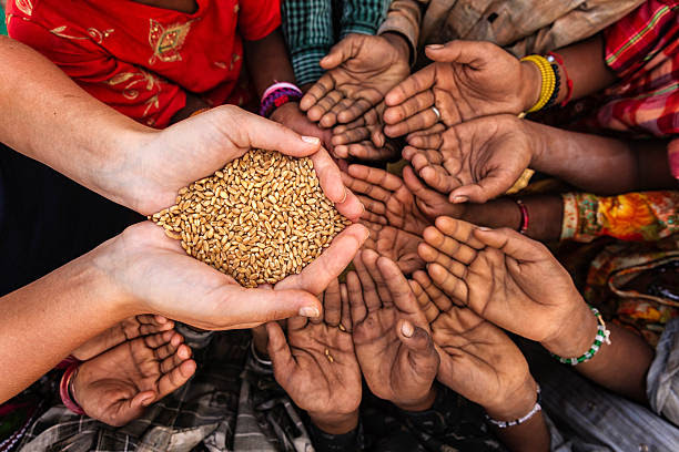 World-Hunger-Can-Be-Solved-If-We-Take-Action-To-Transform-Our-Food-System-WFP