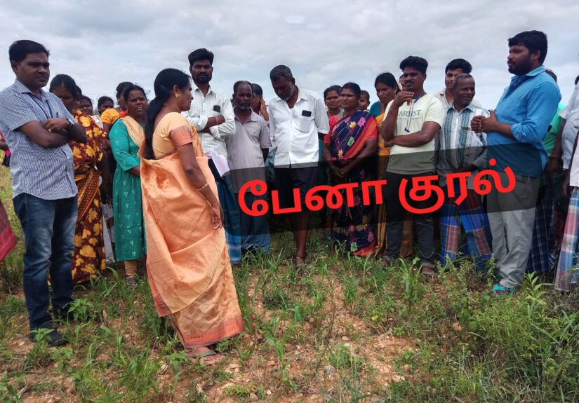 Natrampalli 1